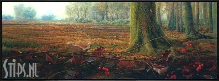 Herfst - Ger Stallenberg - Afbeelding 4