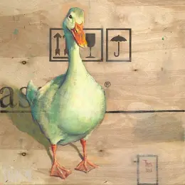 De Eend - Theo Onnes