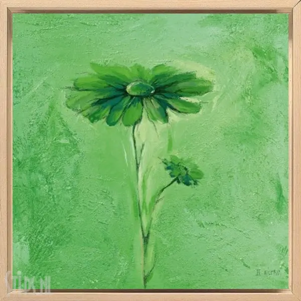 Fiore III - Elena Filatov - Afbeelding 5