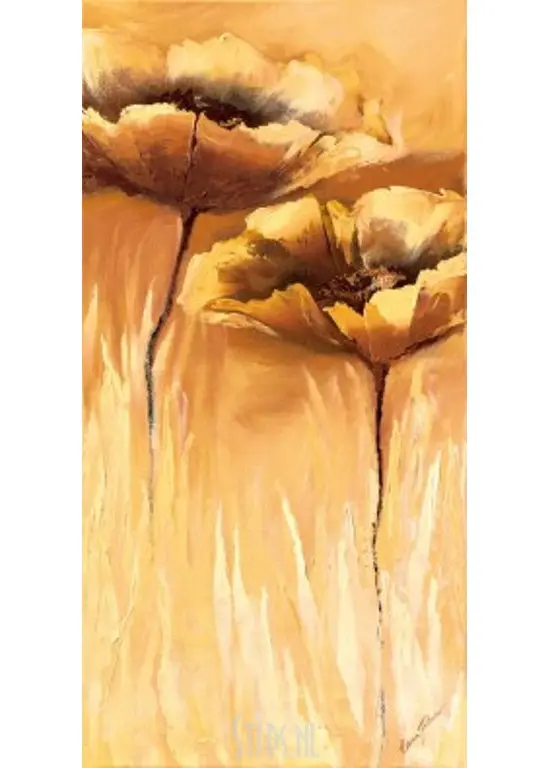 Koper Symphonie - Elena Filatov - giclee