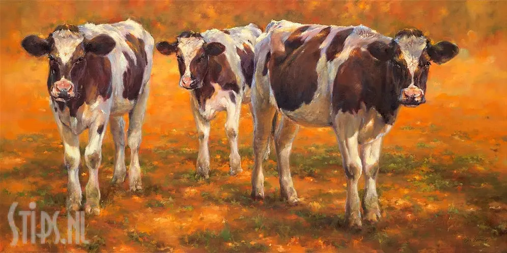 Drie kalveren in de ochtend - Geke Steenmetz - Giclee