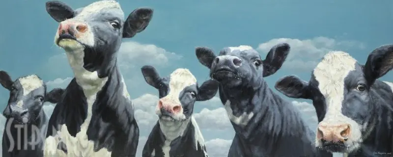 Nieuwe koeienschilderijen