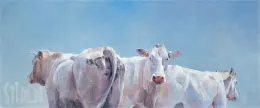 Twee koeien en een stier - Hiske Wiersma - SALE