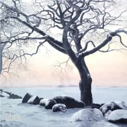 De Tweeling – Geke Hoogstins