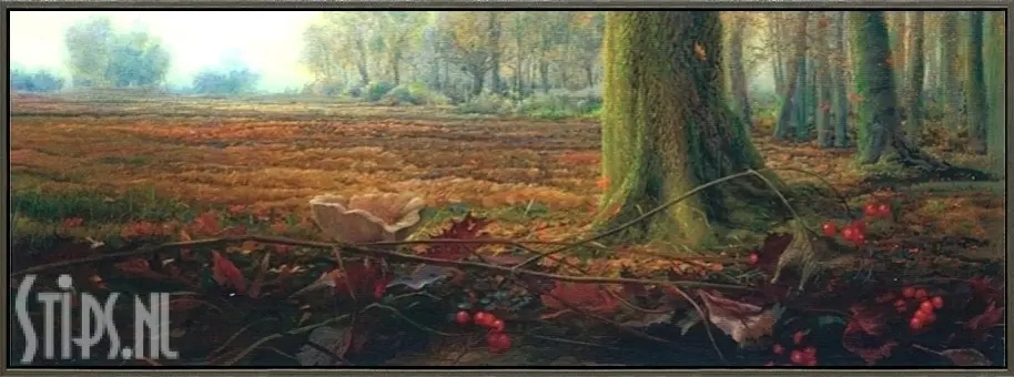 Herfst - Ger Stallenberg - Afbeelding 7