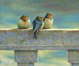 Jonge boerenzwaluwen - Erik van Ommen - giclee