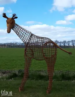 Grote giraffe - opengewerkt