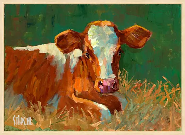 Kalf roodbont - Theo Onnes - Afbeelding 6