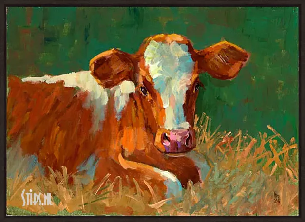 Kalf roodbont - Theo Onnes - Afbeelding 2