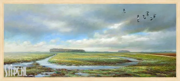 Kieviten - Erik van Ommen - Afbeelding 9