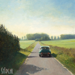 Citroën DS - Martin Sijbesma