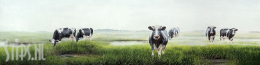 Koeien in mist – Geke Hoogstins