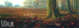 Herfst - Ger Stallenberg