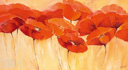 Papaverparade - Elena Filatov