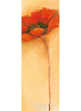 Klaproos - Elena Filatov