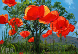 Poppies, tree or mountain - Theo Leijdekkers