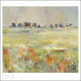 Schapen