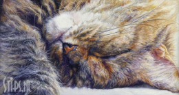 Tembi - Adriana van Zoest