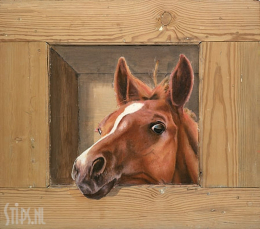 Paard - Johan Mulder