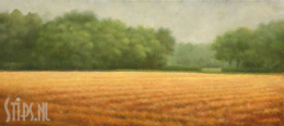 Gemaaid Veld – Hans Dolieslager