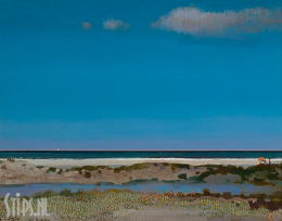 In de verte - Ton Dubbeldam