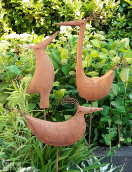 Paradijsvogels geroest