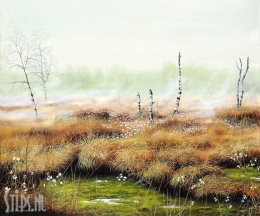 Witte Veen – Geke Hoogstins