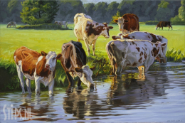 Roodbont vee langs de rivier - Jan van 't Hoff