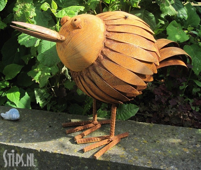 Gevederde Paradijsvogel geroest - Afbeelding 2