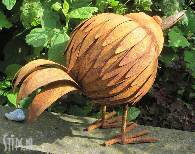 Gevederde Paradijsvogel geroest - Afbeelding 3
