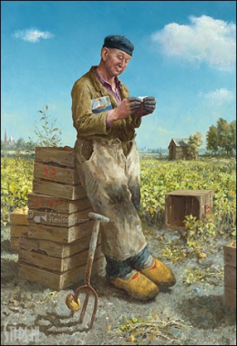 Aardappelsteker