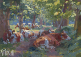 Koeien onder de bomen - Hans Versfelt