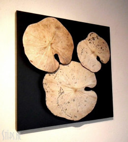 Lotus Trio natuur op paneel