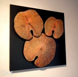 Lotus Trio oranjebruin op paneel