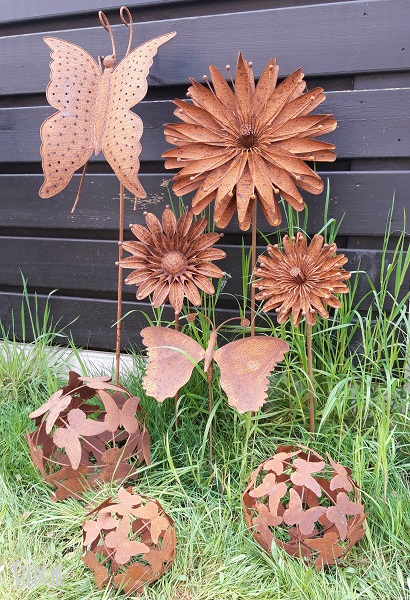 Grote Aster geroest - Afbeelding 3