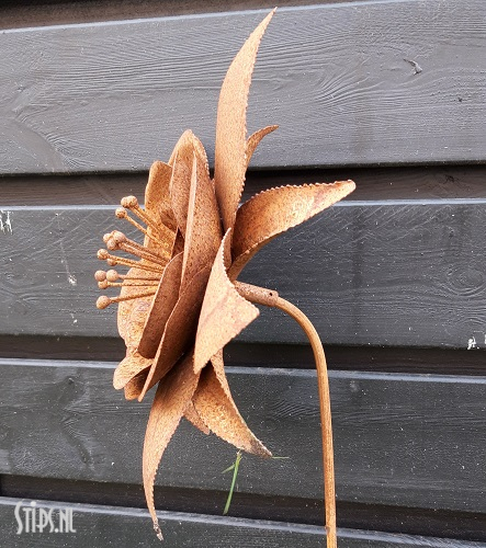 Lotus Bloem - geroest ijzer - Afbeelding 2
