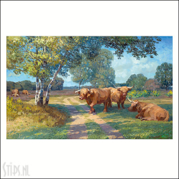 Hooglanders