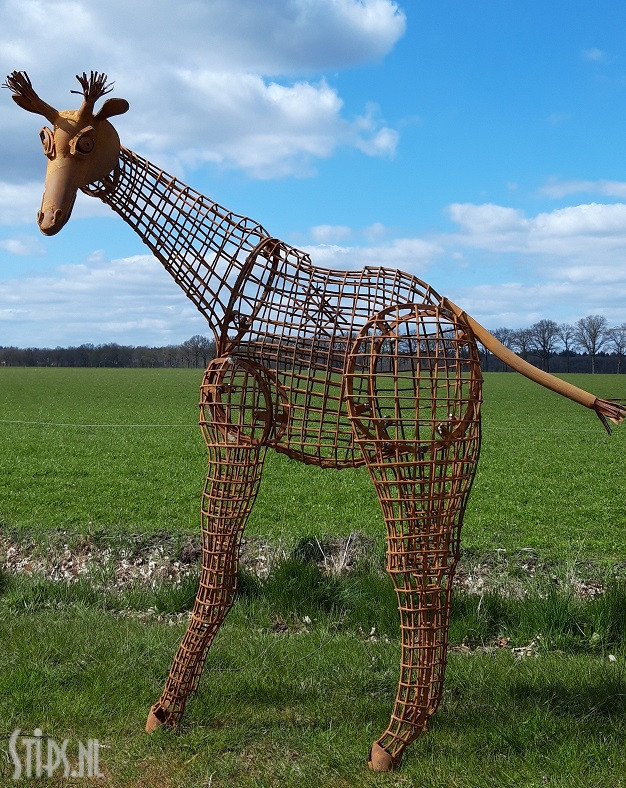 Grote giraffe - opengewerkt - Afbeelding 5