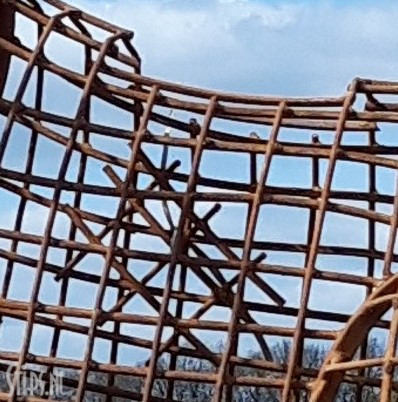 Grote giraffe - opengewerkt - Afbeelding 6