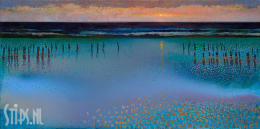 Coming home - Ton Dubbeldam