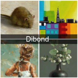Kunst op Dibond