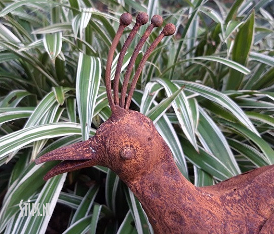 Gedecoreerde Paradijsvogel - Afbeelding 5