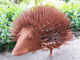 Egel XXL - opengewerkt