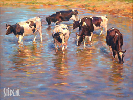 Verkoeling - Geke Steenmetz