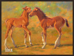 Twee speelse jonge veulens - Geke Steenmetz - Sale