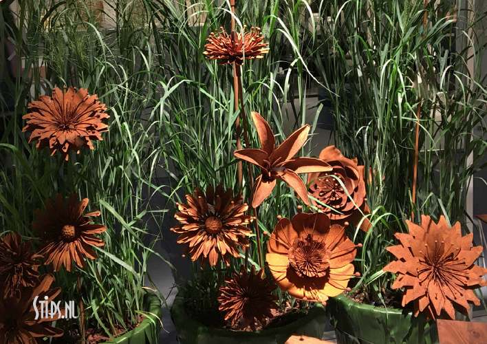 Grote Zonnebloem geroest - Afbeelding 5