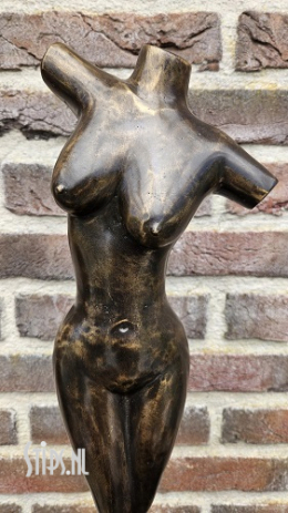 Naakte vrouw in brons