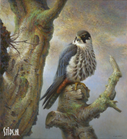 Boomvalk - Erik van Ommen - giclee