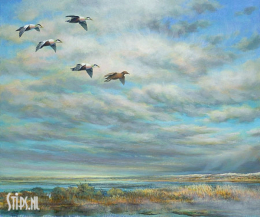 Ganzen - Erik van Ommen - giclee