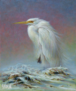 Grote zilverreiger in sneeuw - Erik van Ommen - giclee